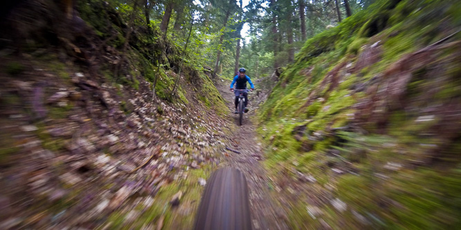 single trail park jamnica