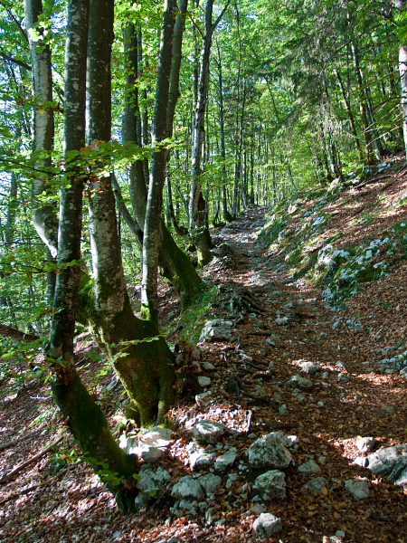 Pohodništvo in gorništvo Planina Vogar Raziščite Slovenijo