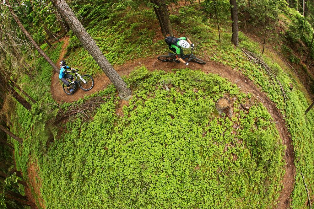 best single track mountain bike